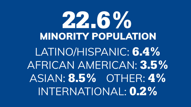 22.6 Minority population. LATINO/HISPANIC: 6.4% AFRICAN AMERICAN: 3.5% ASIAN: 8.5% INTERNATIONAL: 0.2% OTHER: 4%