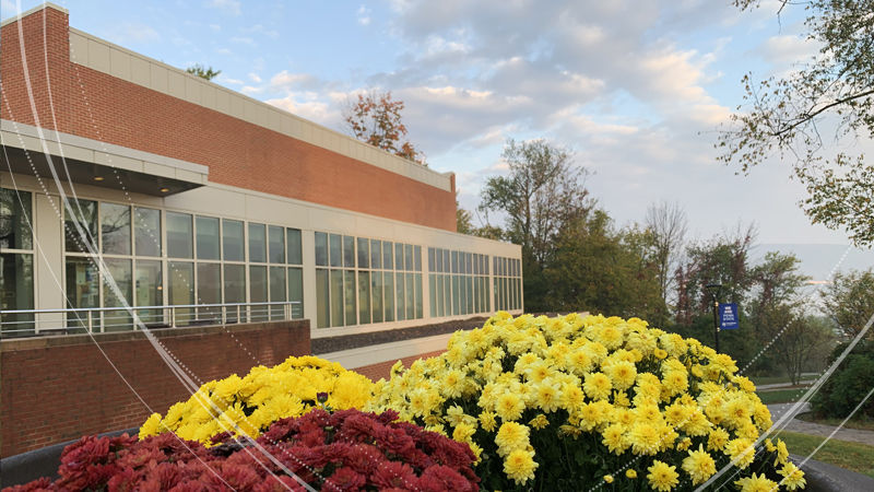red and yellow mums in front of brick Business Building