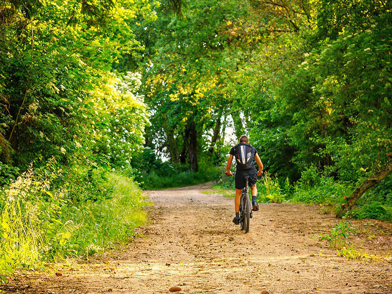 man riding a bicycle on a dirt path through the forest