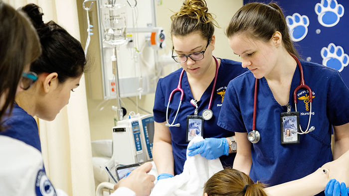 two nurses in a clinical setting work with a patient