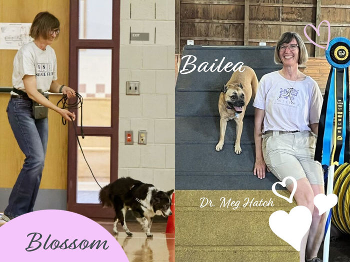 two side by side photos of woman working with two different dogs in a competition