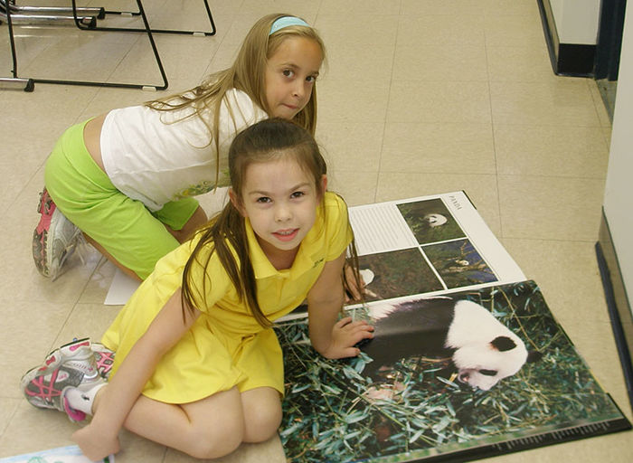two girls look at images of panda bear