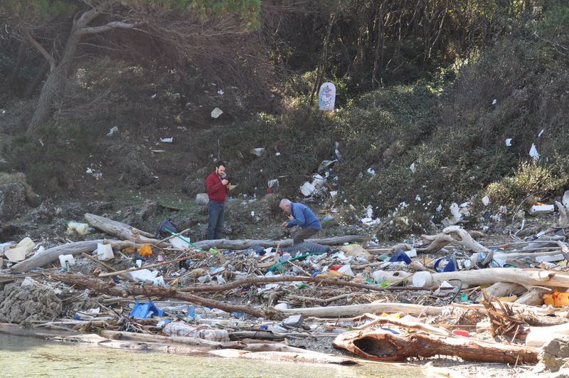 plastic waste on the shoreline
