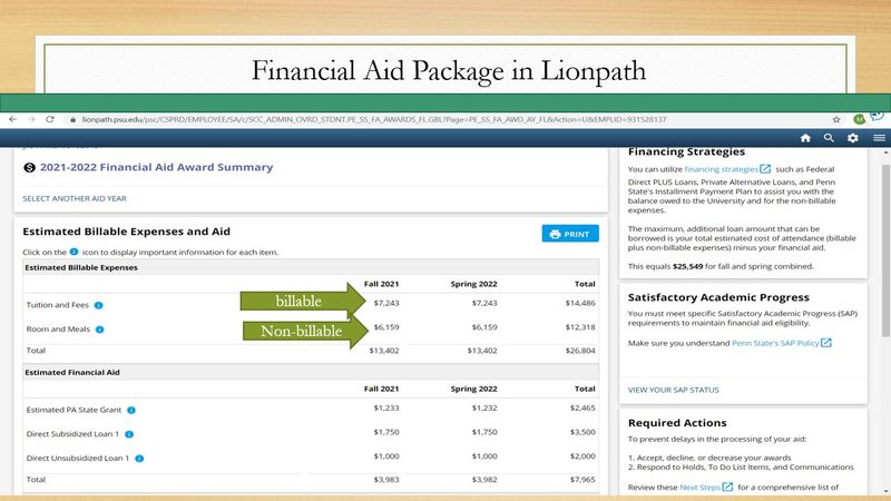 screen shot of dashboard for Financial Aid Package in Lionpath