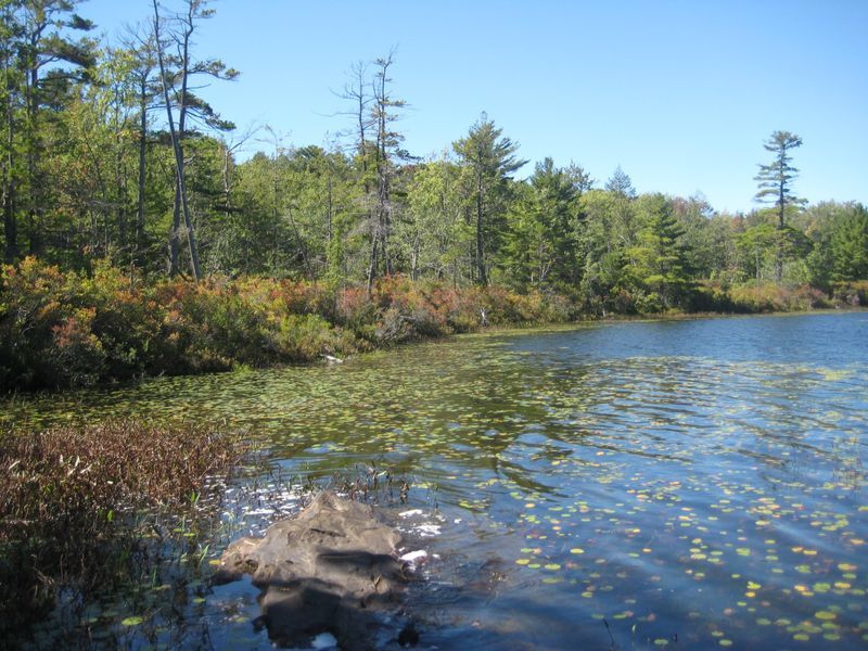 Lacawac Sanctuary Research Field Station