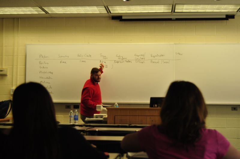 Student mentoring class in Biology.