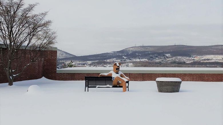 nittany lion mascot sitting on a snow covered bench with a view of the local snow-covered mountains behind him