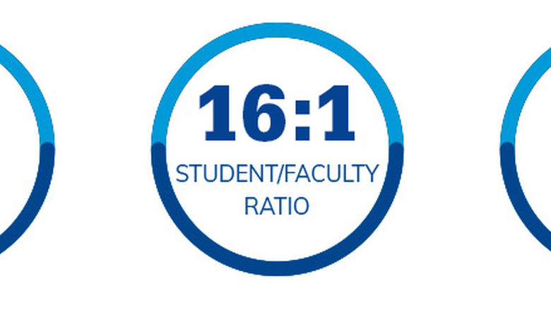 21 students average class size. 16:1 student/faculty ratio. 50 Full-time faculty