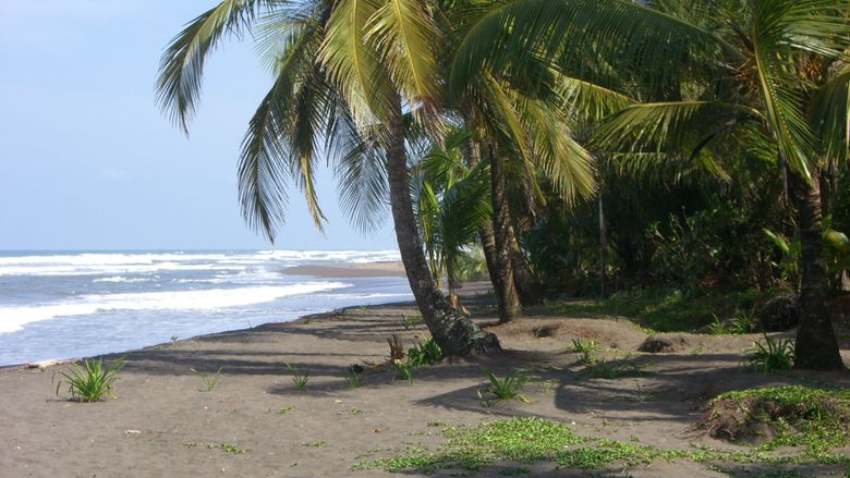 Costa Rica Beach