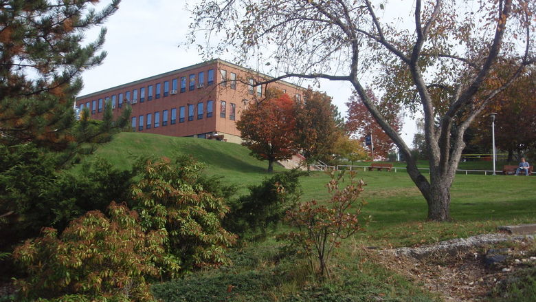 dawson building view from the lower end of campus