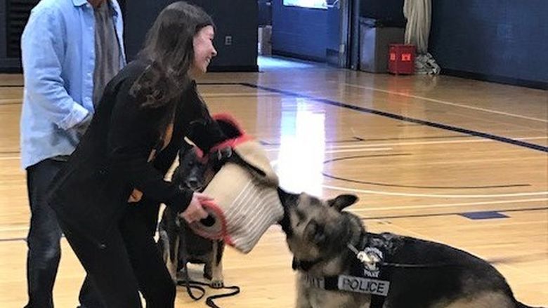 police dog demo