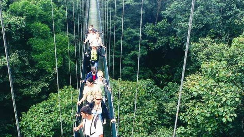 Hanging Bridges Park, Costa Rica