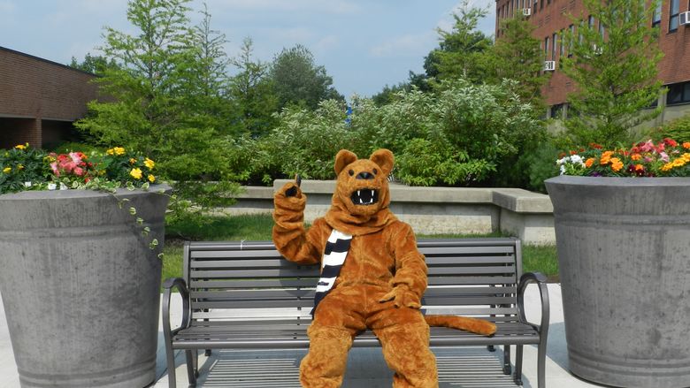 PSWS Nittany lion on bench