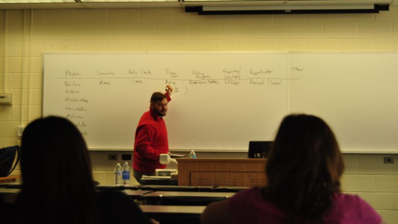 Student mentoring class in Biology.