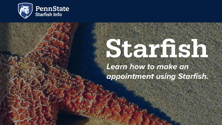 photo of a starfish