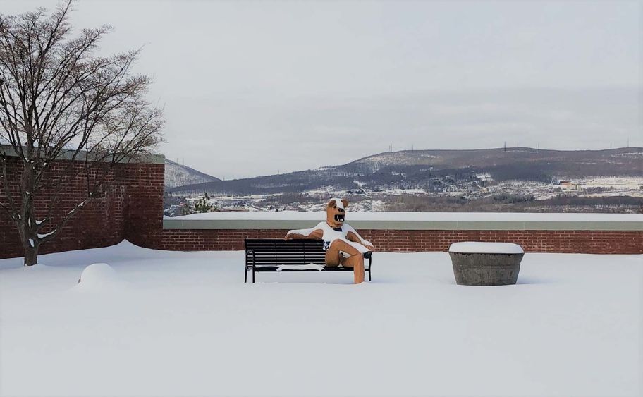 nittany lion mascot sitting on a snow covered bench with a view of the local snow-covered mountains behind him