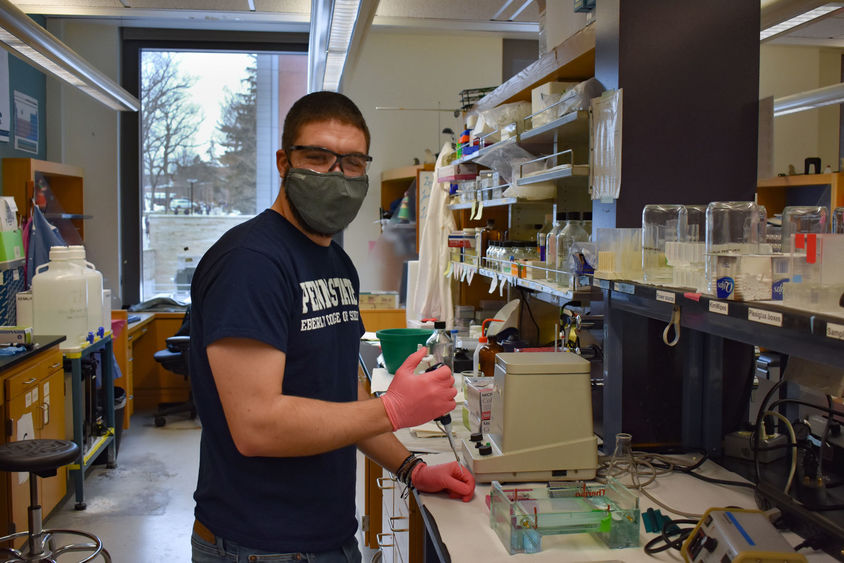 Herne wearing gloves and glasses holds pipette in lab