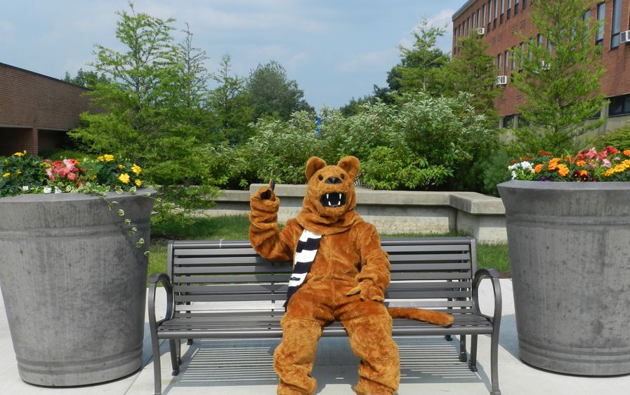 PSWS Nittany LIon PSWS Nittany lion on bench