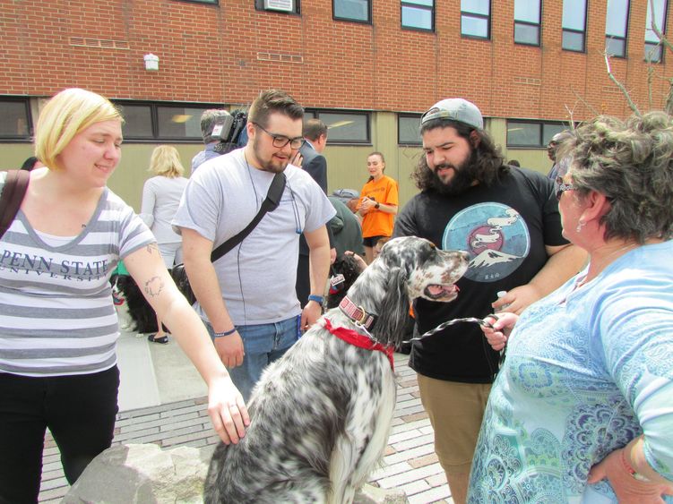 students gather around irish setter at pet therapy event