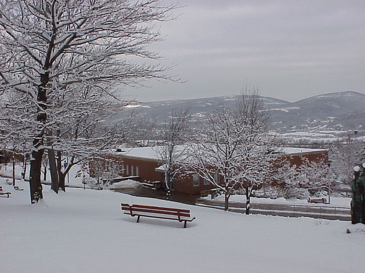 A fresh coating of snow blankets the Scranton campus