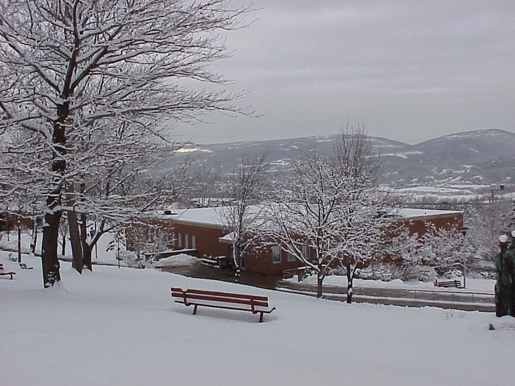 A fresh coating of snow blankets the Scranton campus 